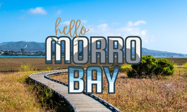 Nearby: Elfin Forest Walk: Mysteries of the Oaks