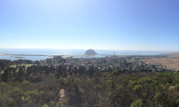 Guided Geology Walk at Black Hill (Morro Bay State Park)