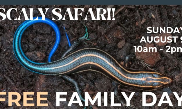 Nearby: Family Free Day: Scaly Safari at the SLO Botanical Garden