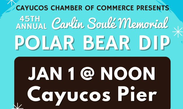 Nearby: 46th Annual Carlin Soulé Memorial Polar Bear Dip
