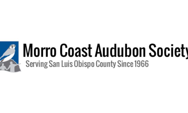 Nearby: Sweet Springs Habitat Walk with Morro Coast Audubon Society