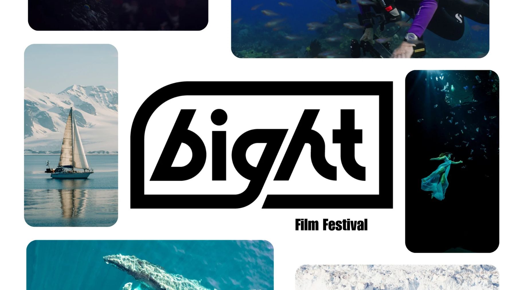 🍿 Monday Special: Bight Film Festival at the Bay Theatre