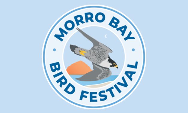 Morro Bay Bird Festival 2027