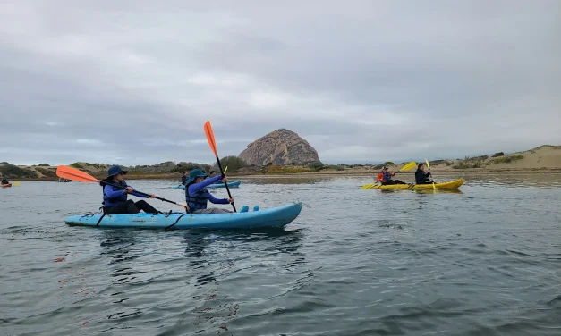 Family Field Trip: Kayaking in the Estuary