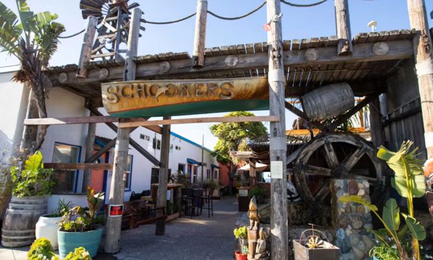 Nearby: 🎶 Schooners Halloween Party