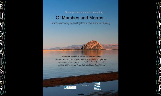 🍿 Monday Special: Speara / Of Marshes & Morros at the Bay Theatre